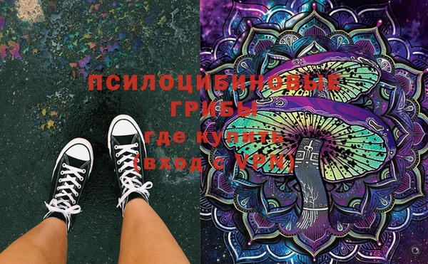 спайс Коряжма