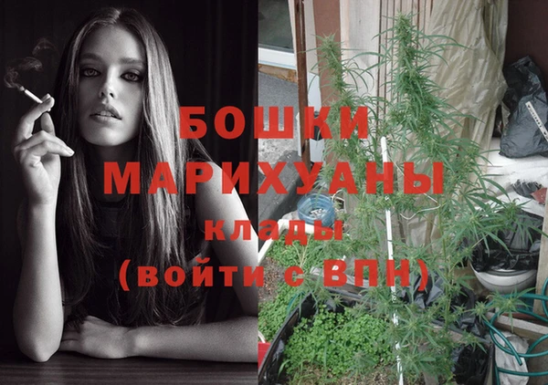 Альфа ПВП Корсаков