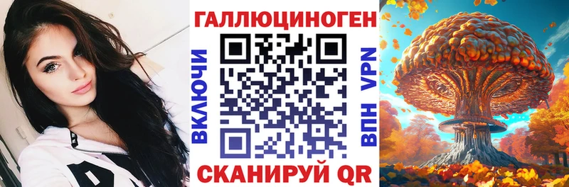 Псилоцибиновые грибы Psilocybe  магазин    Шумиха 